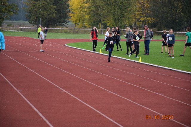 biegip 11